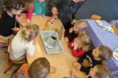 PXL_20230216_065456480