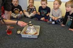 PXL_20230216_082336230