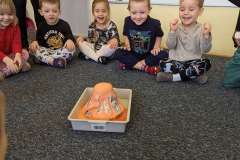 PXL_20230216_082350155