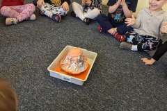 PXL_20230216_082351915