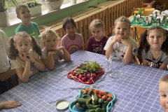 384553118_2993589427438694_368613028704764301_n