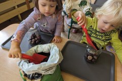 PXL_20231011_071931827