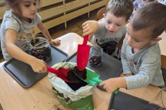 PXL_20231011_072017470