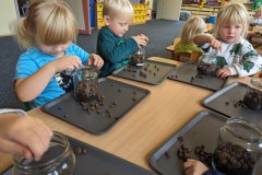 PXL_20231011_072526772