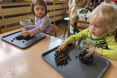 PXL_20231011_072537437