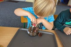 PXL_20231011_073153027