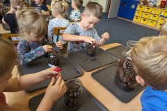 PXL_20231011_073334075