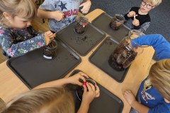 PXL_20231011_073336591