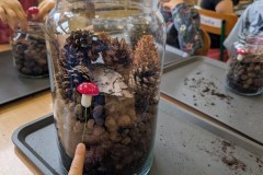 PXL_20231011_073404626