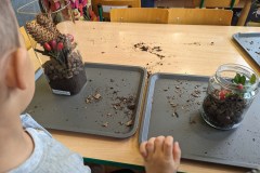 PXL_20231011_073446393