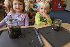 PXL_20231011_074740288