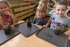 PXL_20231011_074837138